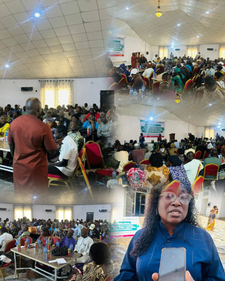 IMPACT Project Convenes Stakeholders to Enhance Maternal and Child Health in Plateau